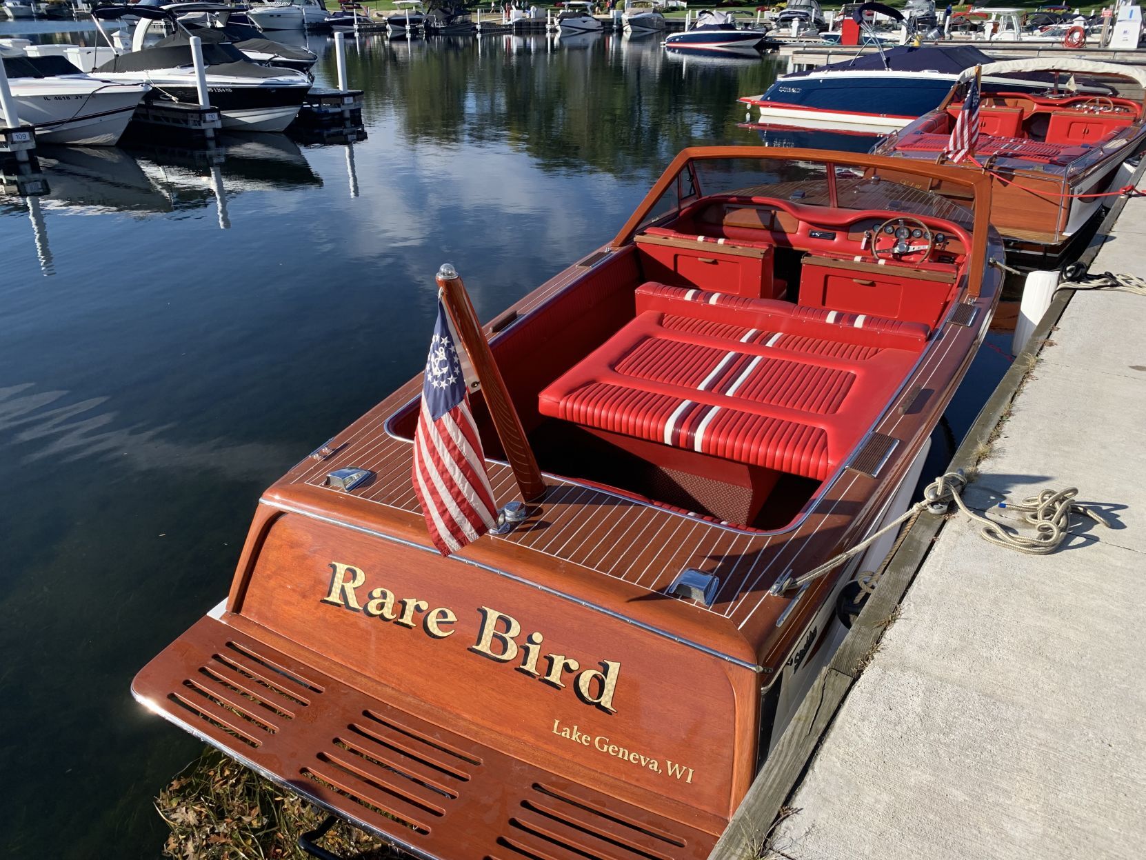 Rare bird